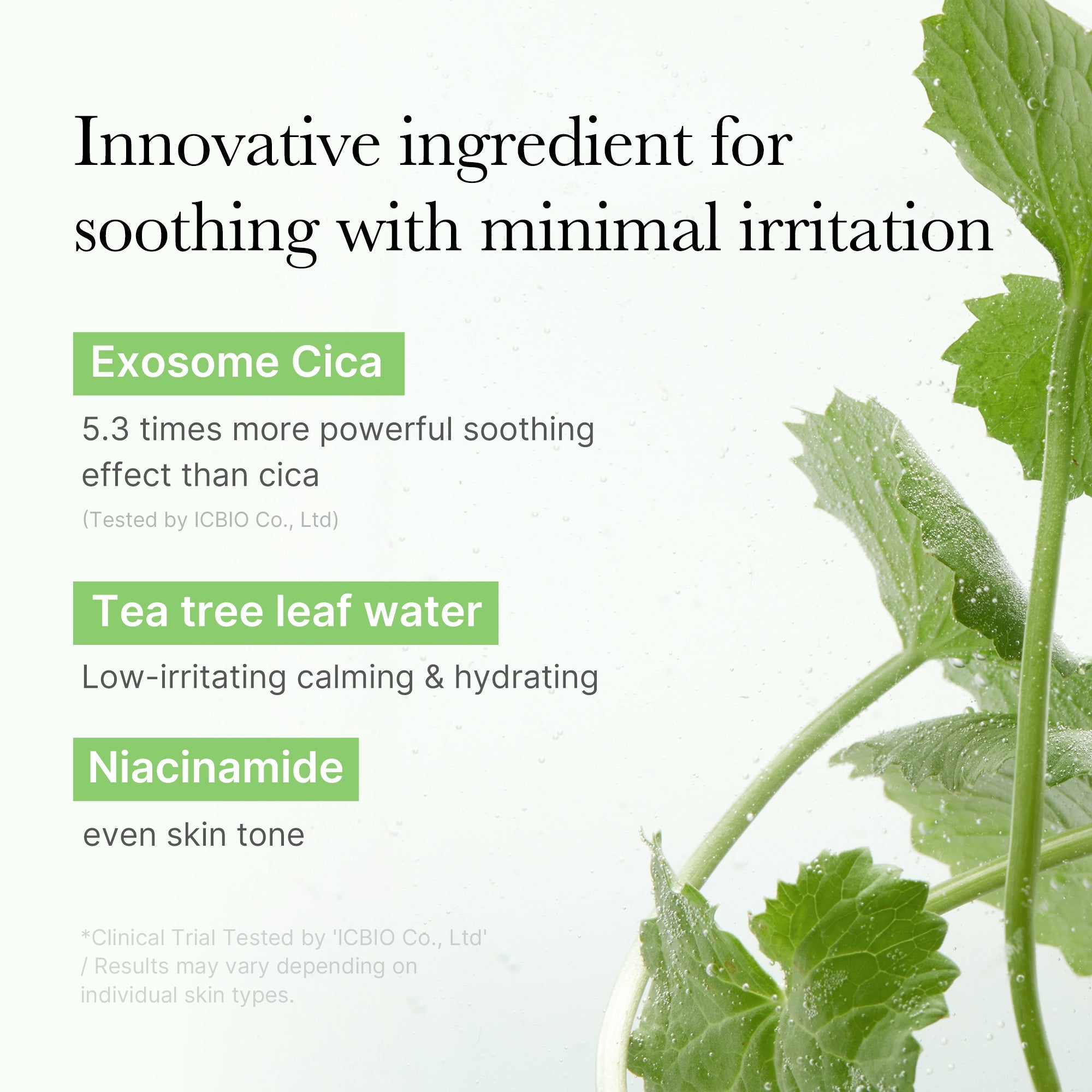 [GIFT] Exosome Cica Calming Toner Pads - A Modern Take on Face Care
